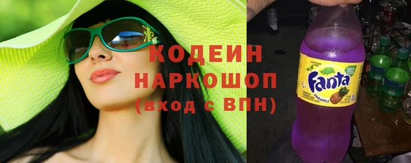индика Лихославль