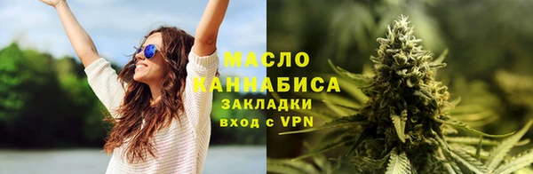 индика Лихославль