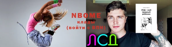 индика Лихославль