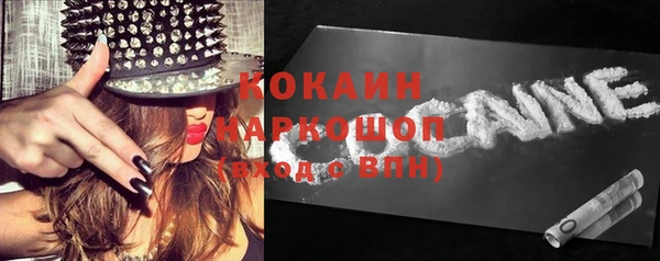 индика Лихославль